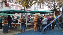 2024-11-16_grf_kampagnenstart-bensem-1600x900-062