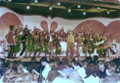 1981_Sitzung-3
