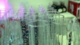 2013_grf_Herzogenaurach-191