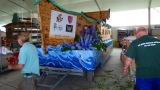 2014-06-14_GRF_Narrenschiff-blueht-auf-010