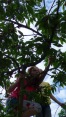 2016-06-19_GRF-Kindergrillen-05