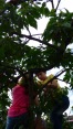 2016-06-19_GRF-Kindergrillen-06