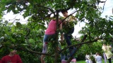 2016-06-19_GRF-Kindergrillen-07
