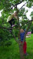 2016-06-19_GRF-Kindergrillen-10
