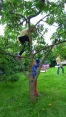 2016-06-19_GRF-Kindergrillen-11