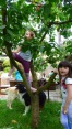 2016-06-19_GRF-Kindergrillen-12