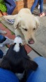 2016-06-19_GRF-Kindergrillen-25