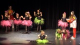 2019_grf-show-kinder-012