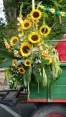2023-09-03_grf_winzerfestumzug-20